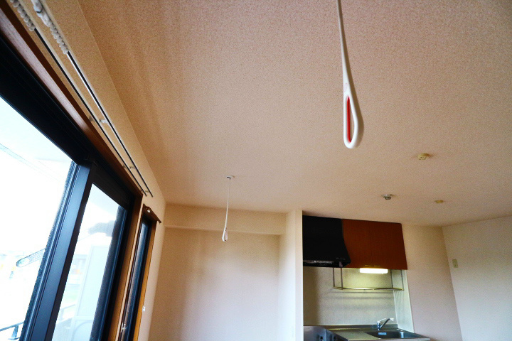 ゴールドパストラル その他21