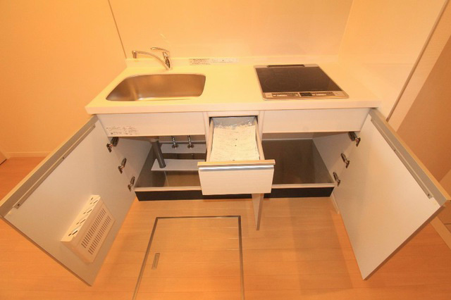 ゴールドクレスト その他7