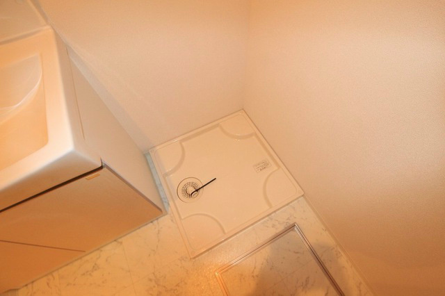 ゴールドクレスト その他8