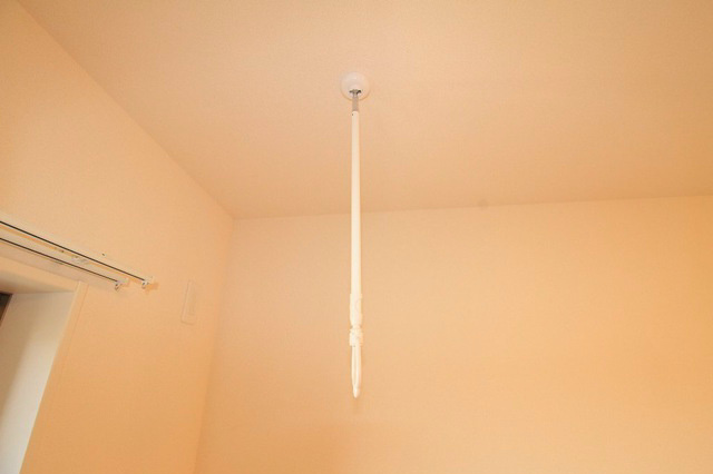 ゴールドクレスト その他12