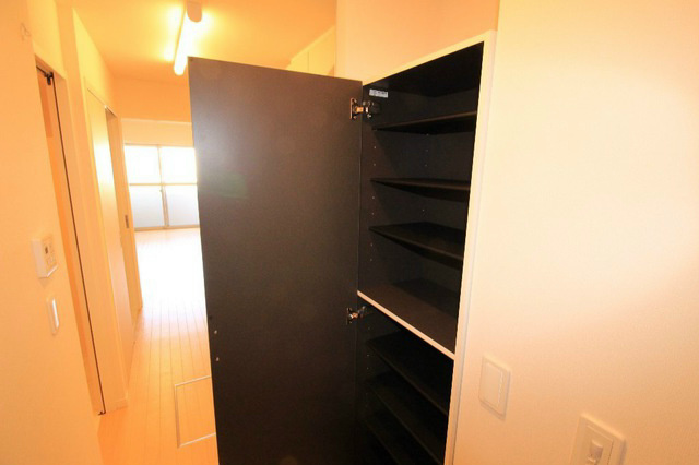 ゴールドクレスト その他13