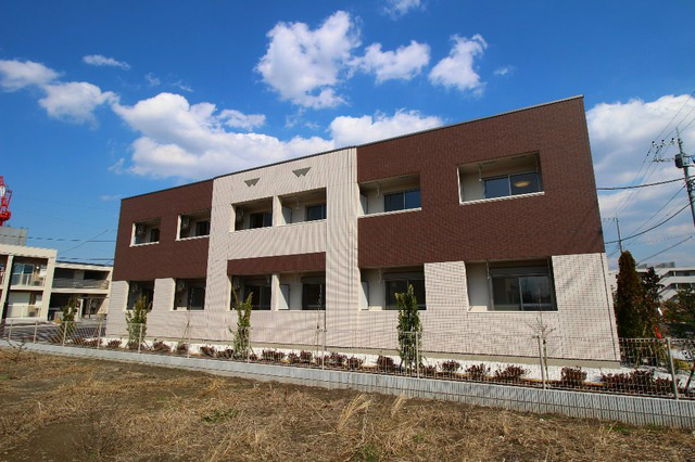 ゴールドクレスト その他15