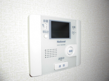 パウロニア その他6