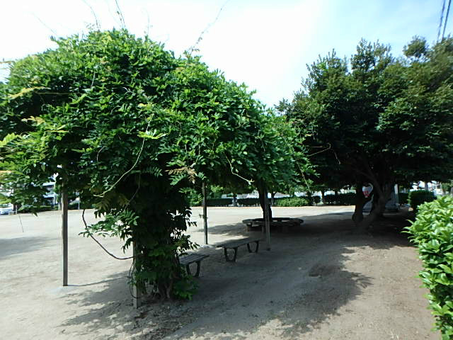 アクシーズグランデ越谷南 その他8