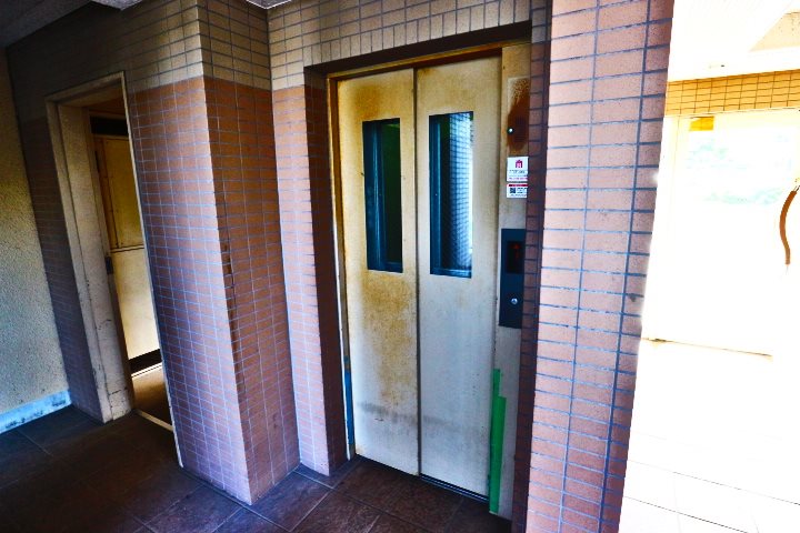 プラチド その他