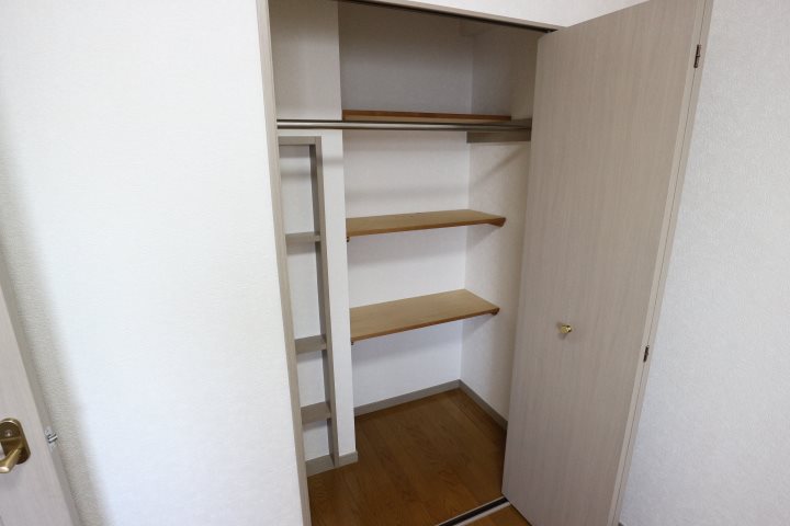 プラチド その他