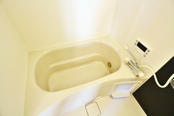 ロイジェントパークスレイクタウンⅢ　J その他11