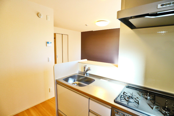 ロイジェントパークスレイクタウンⅢ　J その他27