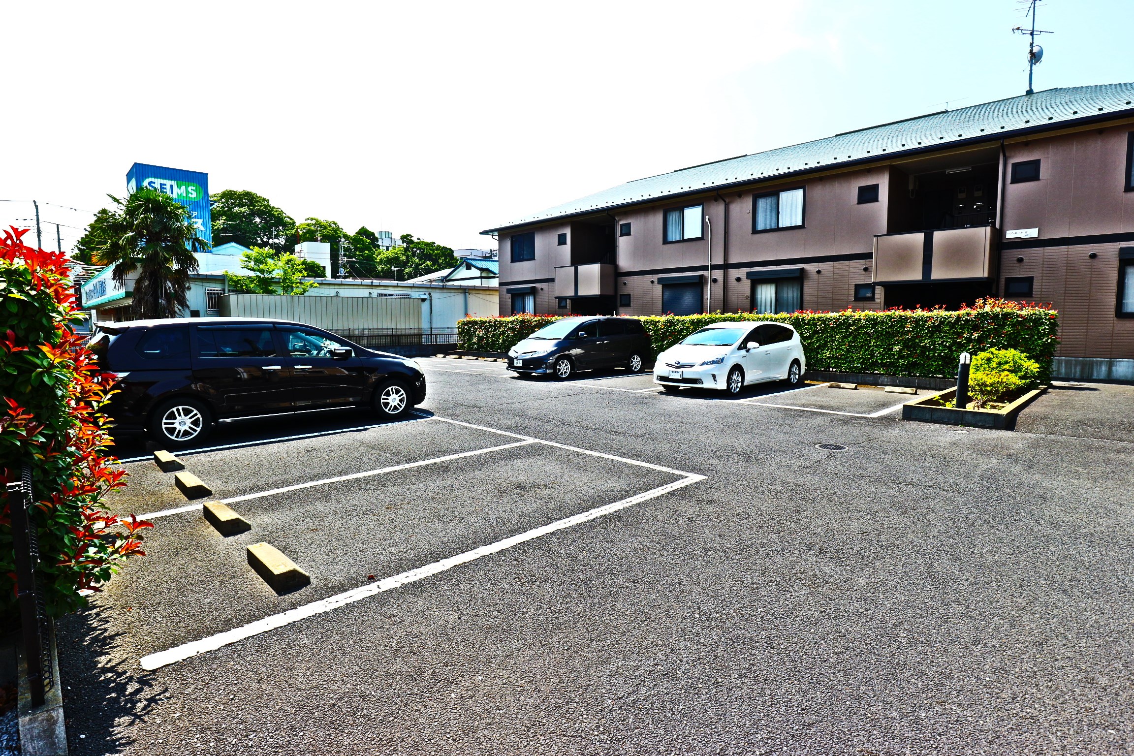 リヴィエール　Ⅱ その他2