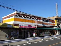 ハピネスMB越谷 周辺画像2