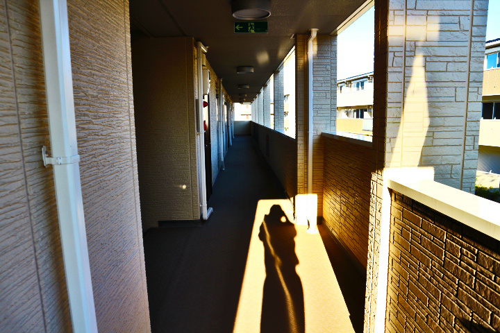 ロイジェントパークスレイクタウン　H その他8