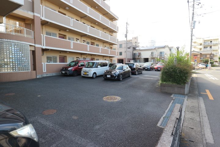プラチド その他5