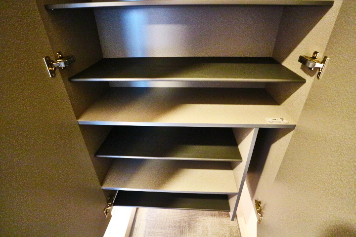 ロイジェントパークスレイクタウンⅢ　H その他11