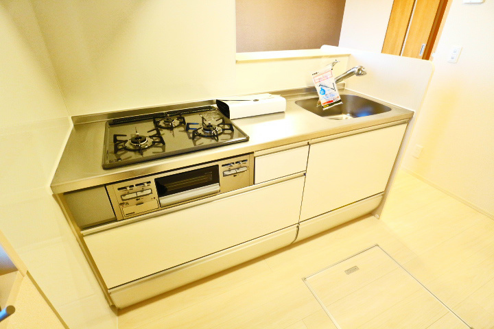 ロイジェントパークスレイクタウンⅢ　H その他24