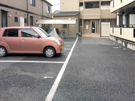 プリムローズ　Ⅱ その他5