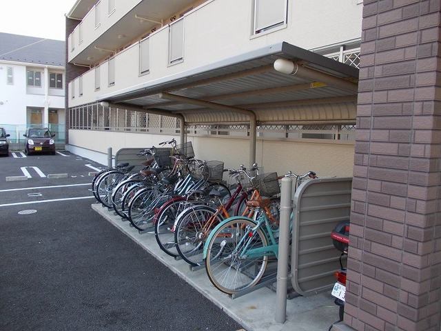 プリムローズ　Ⅱ その他14
