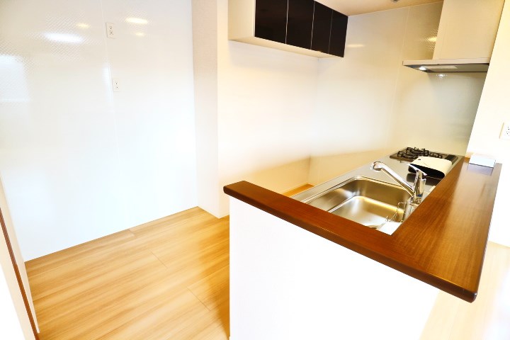 ロイジェントパークスレイクタウンⅡ　Ｃ その他11