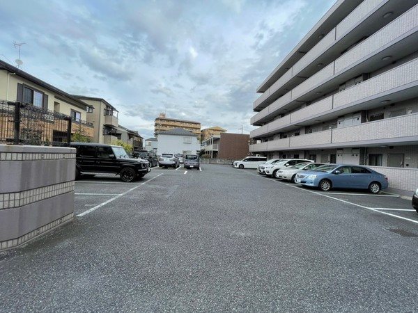 ピエール草加 その他4