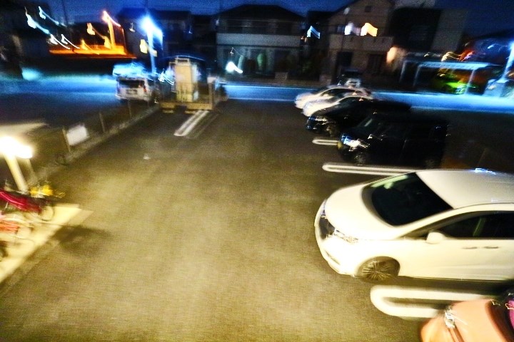 マグノリア その他3