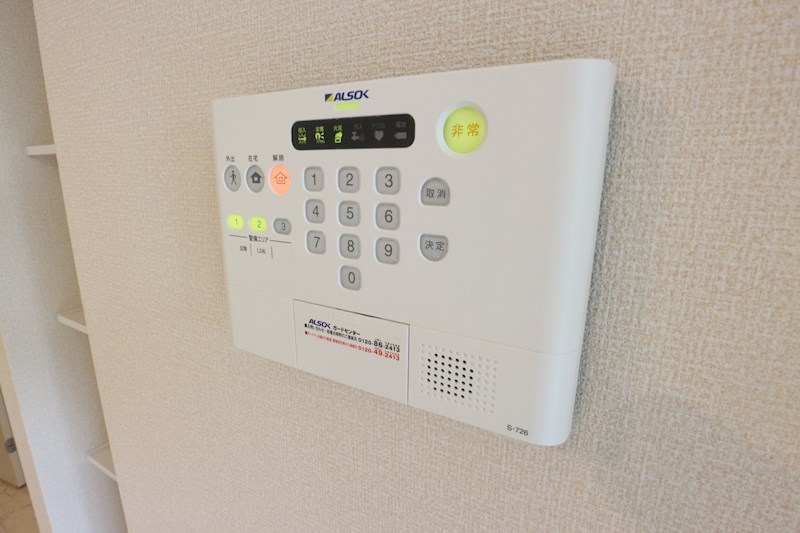 ステラタウン　プルケリマ その他10