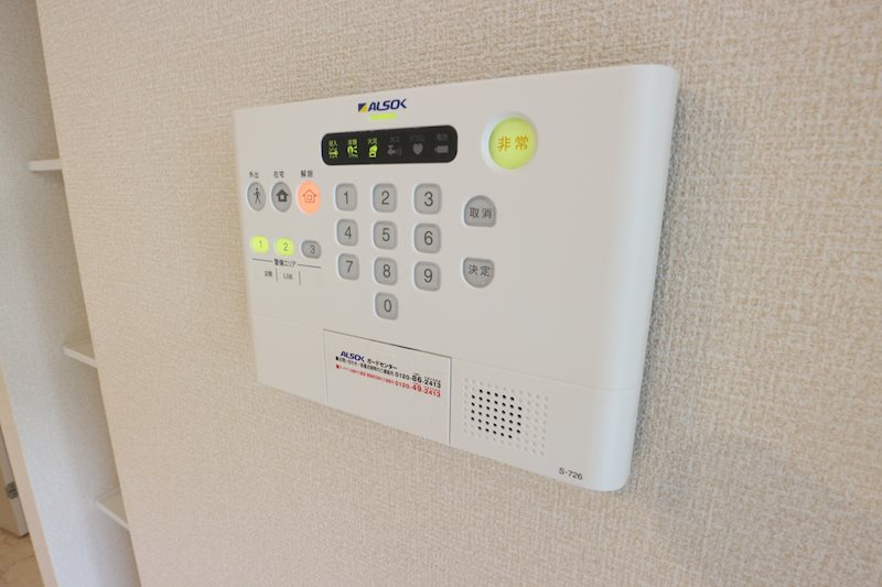 ステラタウン　プルケリマ その他6