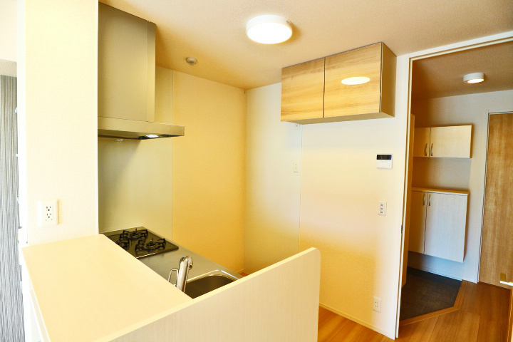 ロイジェントパークスレイクタウンⅢ　J その他12