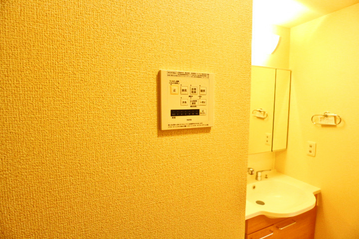 ロイジェントパークスレイクタウンⅢ　J その他18