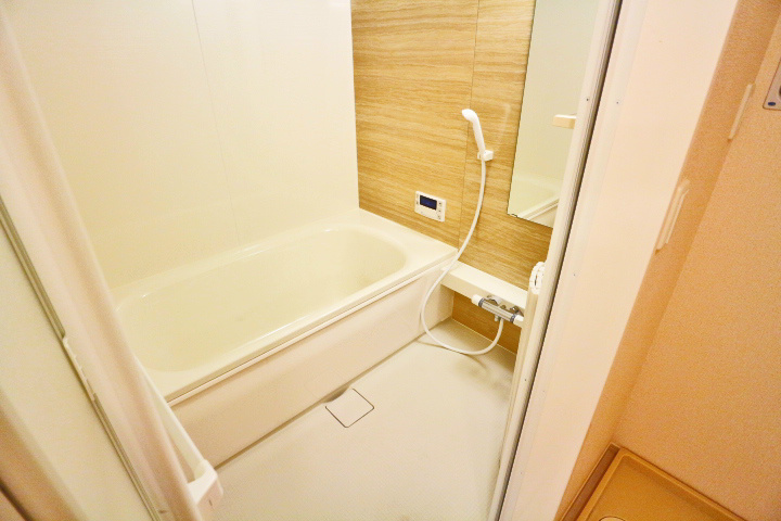 ロイジェントパークスレイクタウンⅢ　J その他28