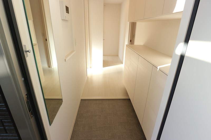 ロイジェントパークスレイクタウンⅢ　L 玄関