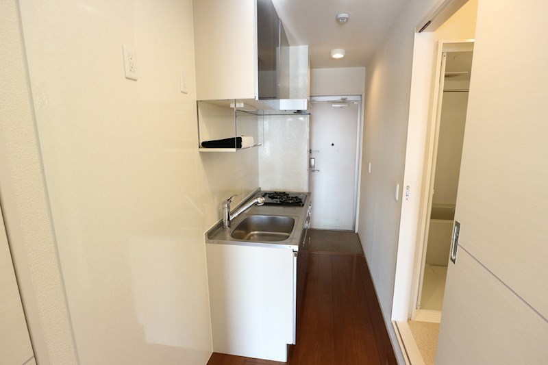 ヘリオス吉川美南　ガイア その他10