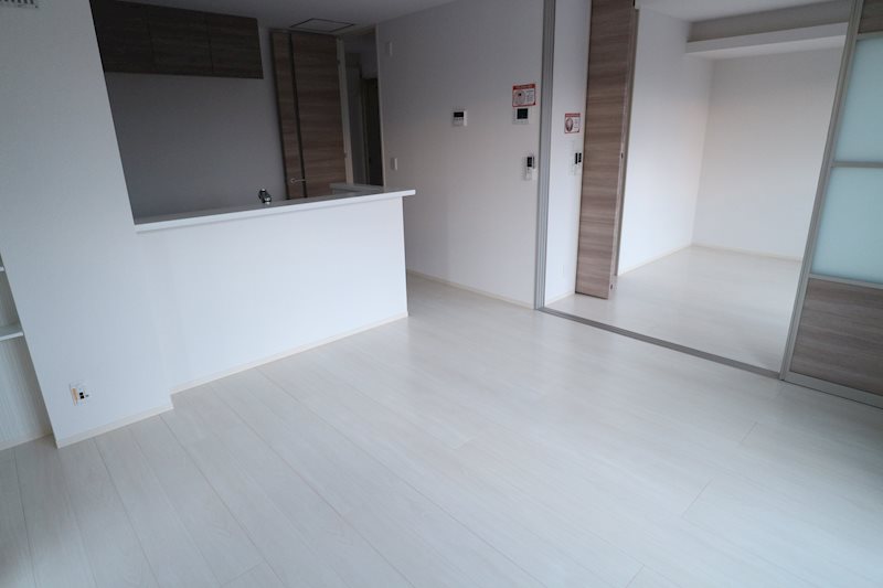 ロイジェントパークスレイクタウンⅡ　J リビング