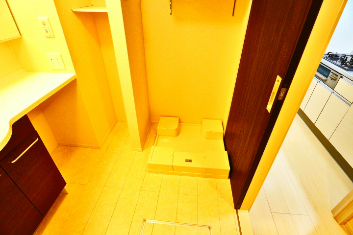 ロイジェントパークスレイクタウン　C その他10