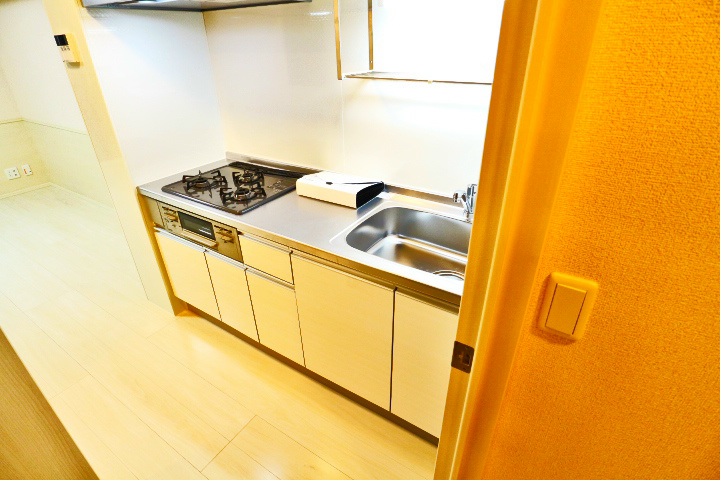 ロイジェントパークスレイクタウン　C その他11