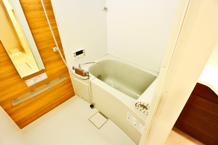 ロイジェントパークスレイクタウン　C その他13