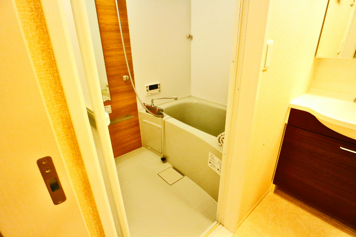 ロイジェントパークスレイクタウン　C その他16