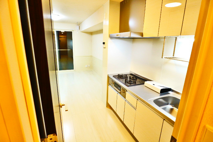 ロイジェントパークスレイクタウン　C その他17