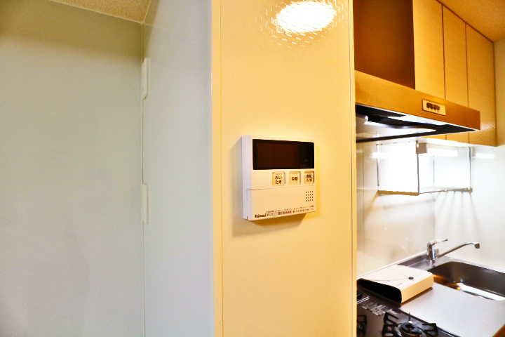 ロイジェントパークスレイクタウン　C その他20