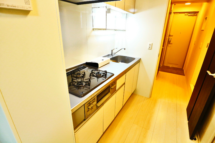 ロイジェントパークスレイクタウン　C その他23