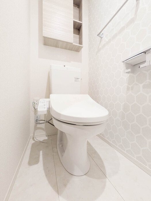 セルシアーナ その他3