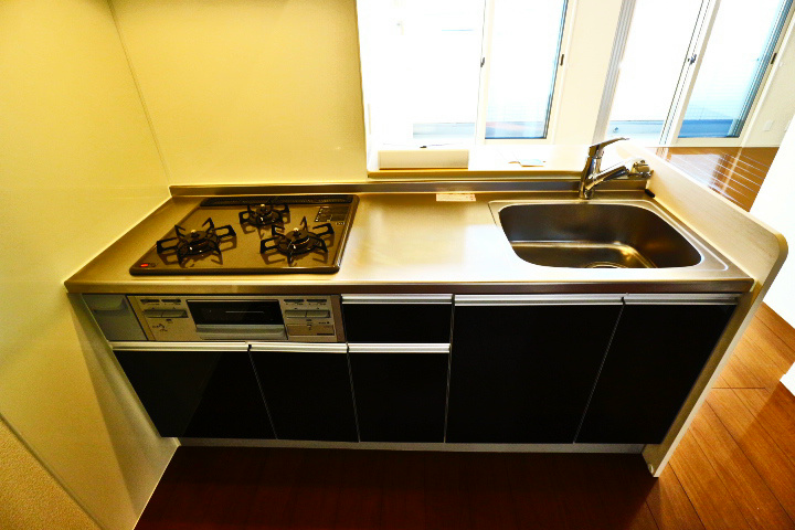 ヘリオス吉川美南　ゼウス キッチン