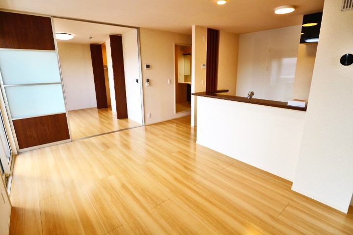 ロイジェントパークスレイクタウンⅡ　Ｃ リビング