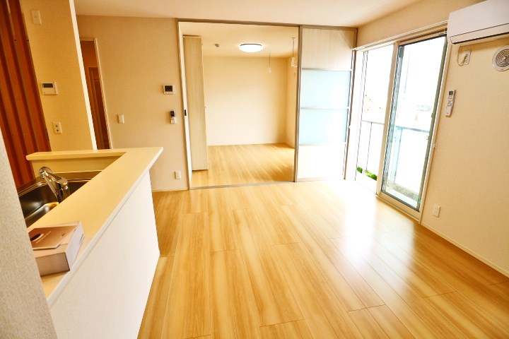 ロイジェントパークスレイクタウンⅡ　Ｃ リビング