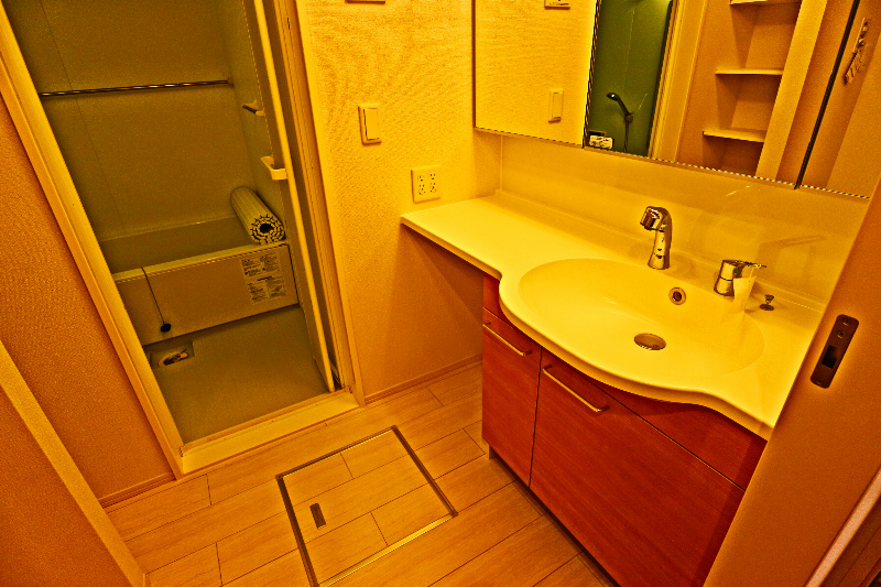 ロイジェントパークスレイクタウンⅢ　D その他2