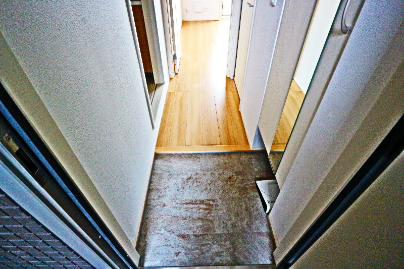 ロイジェントパークスレイクタウンⅢ　D 玄関