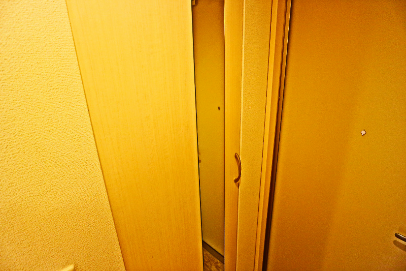 ロイジェントパークスレイクタウンⅢ　D その他13