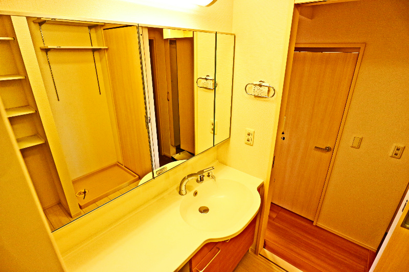 ロイジェントパークスレイクタウンⅢ　D その他17