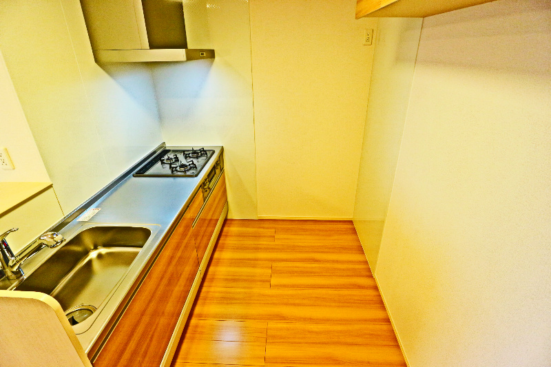 ロイジェントパークスレイクタウンⅢ　D その他19