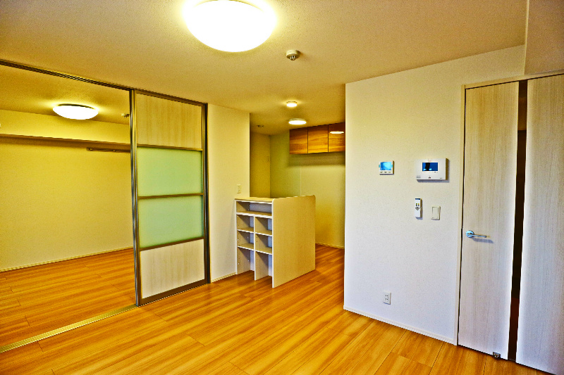 ロイジェントパークスレイクタウンⅢ　D その他25