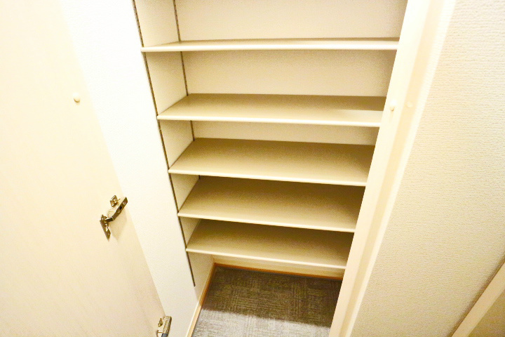 ロイジェントパークスレイクタウンⅢ　Ｇ その他13