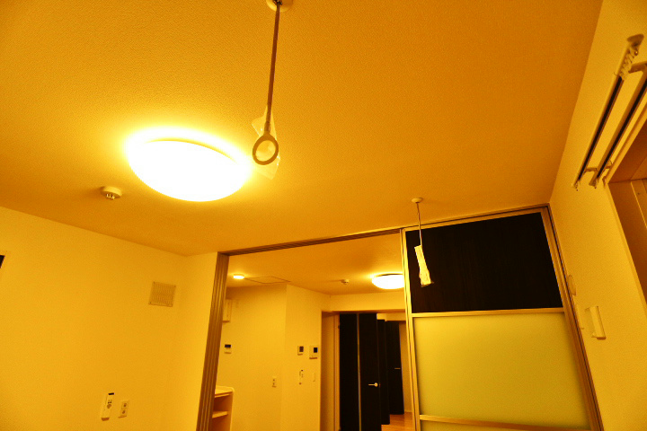 ロイジェントパークスレイクタウンⅢ　Ｇ その他19